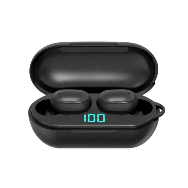 Wired Earbuds